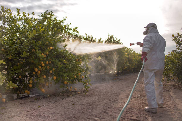 Best Emergency Pest Control  in Littlestown, PA