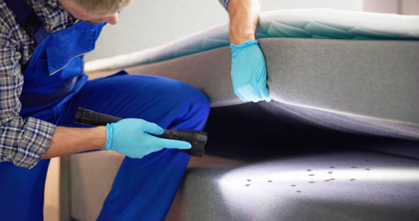 Best Pest Removal Services  in Littlestown, PA